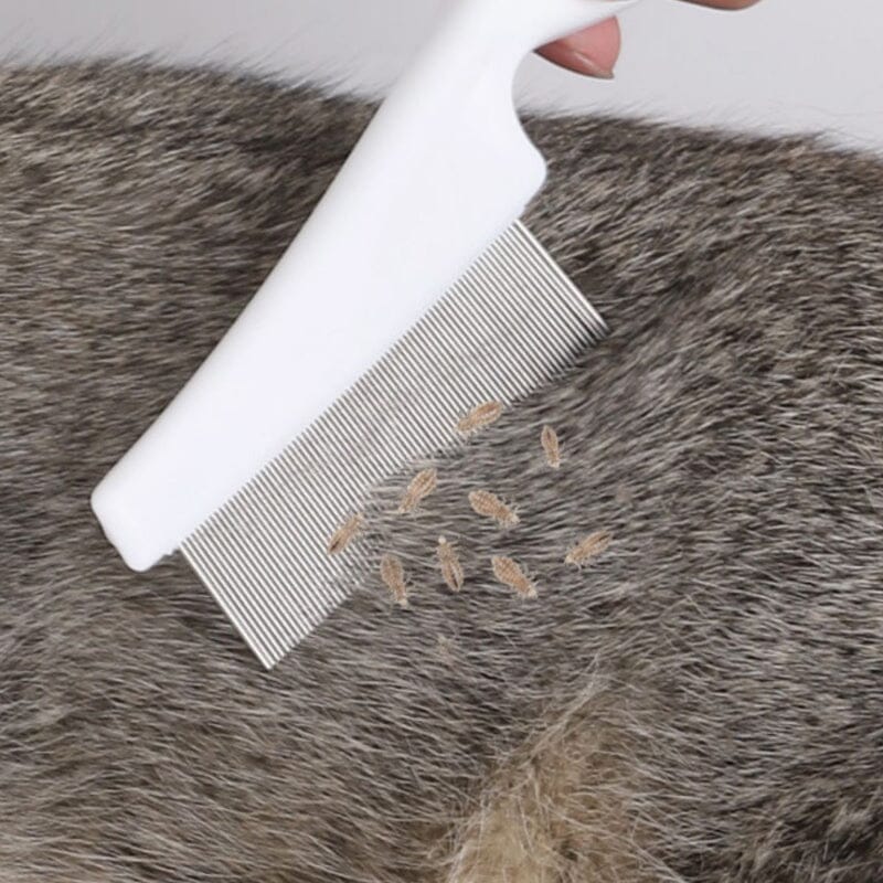 Flea Combs | Set x 2 Peines anti pulgas y  anti garrapatas de acero inoxidable